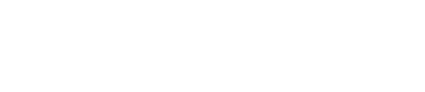RadioMaster